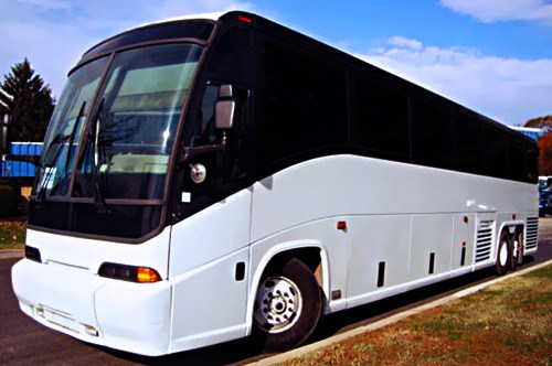 Shuttle Bus Service