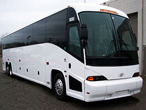 charter and party buses